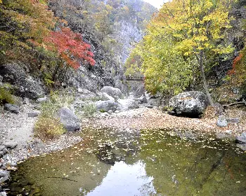 주왕산 국립공원 단풍_17