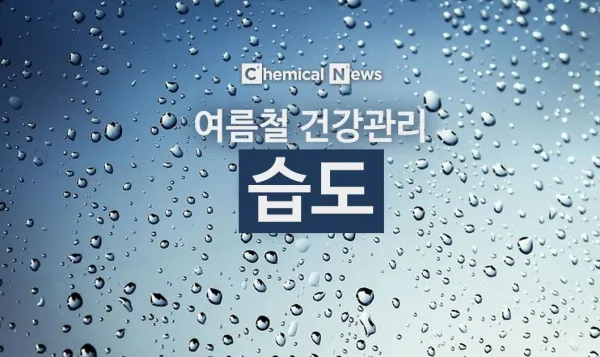 여름철 습도 관리 완벽 가이드 건강한 실내 환경_4