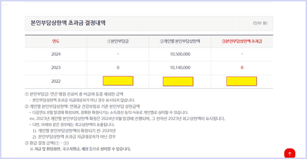 본인부담상한액 초과금 결정내역