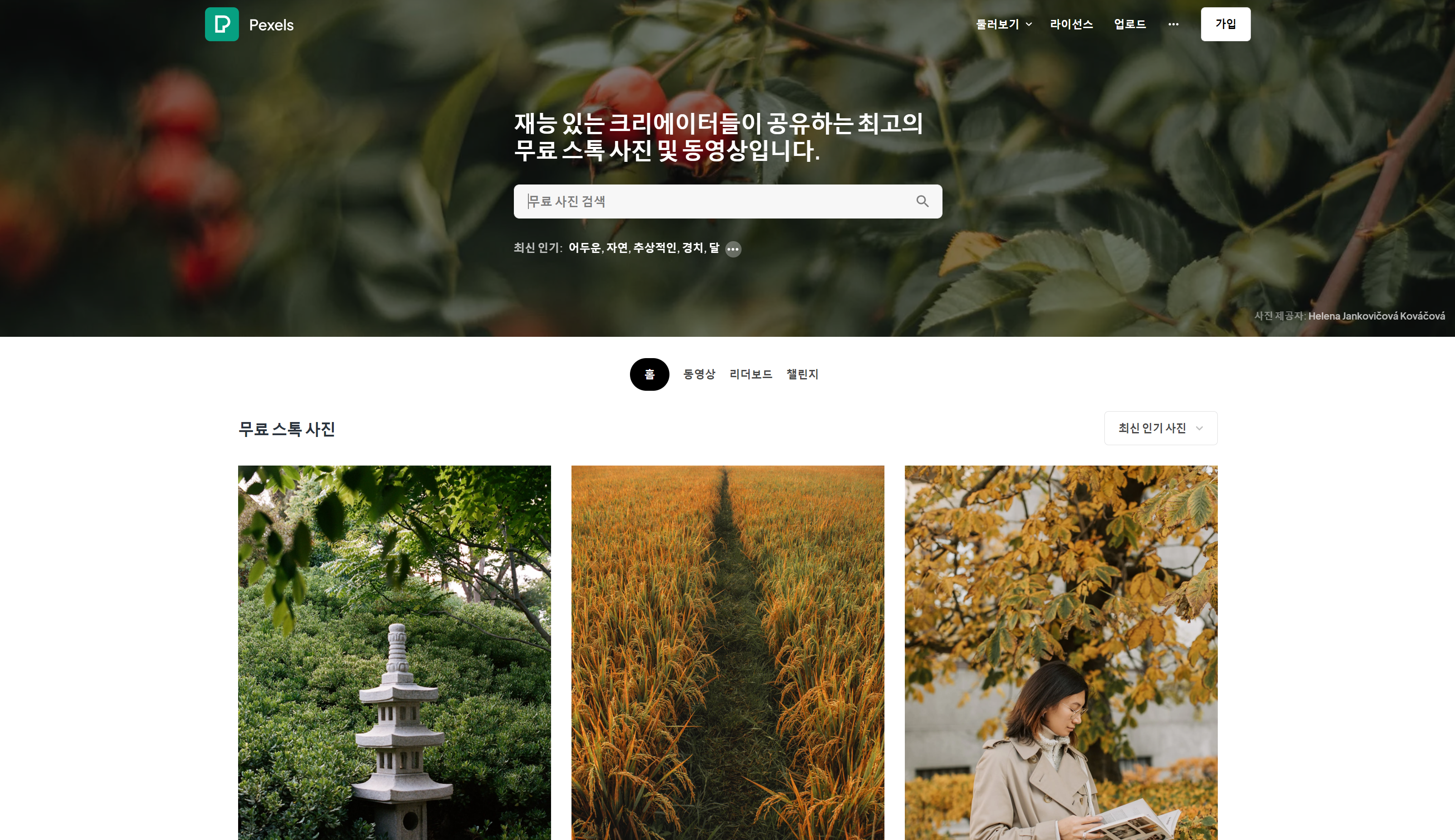  Pexels 고퀄리티 무료이미지 무료동영상 다운로드 사이트