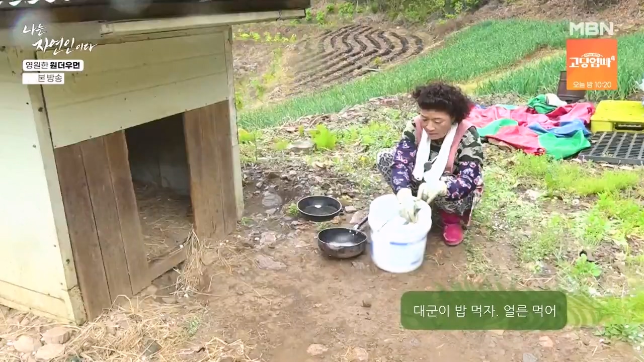 나는 자연인이다.E606.240523p-NEXT.mp4_20240523_195558.977.jpg