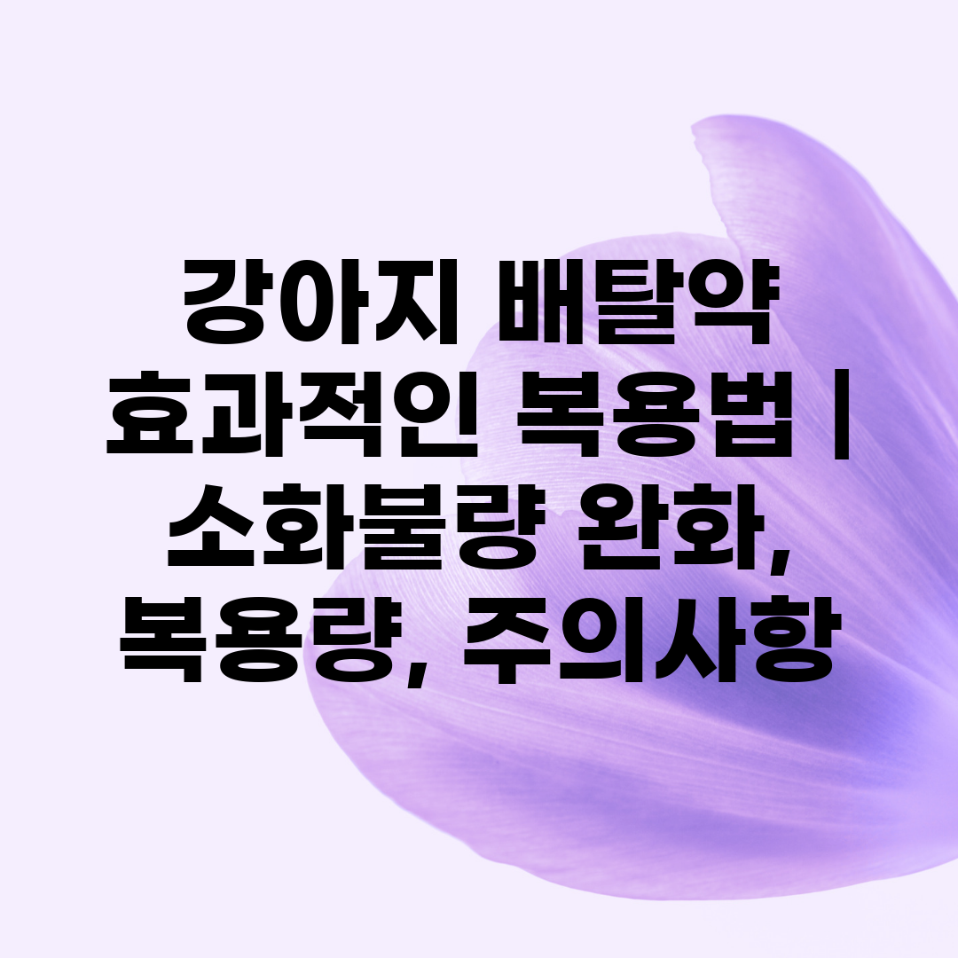 강아지 배탈약 효과적인 복용법  소화불량 완화, 복용량