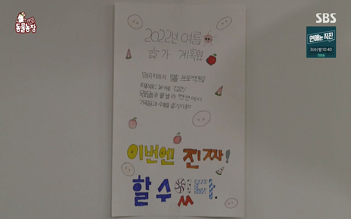 TV 동물농장.E1080.220732p-NEXT.mp4_20220731_174219.868.jpg