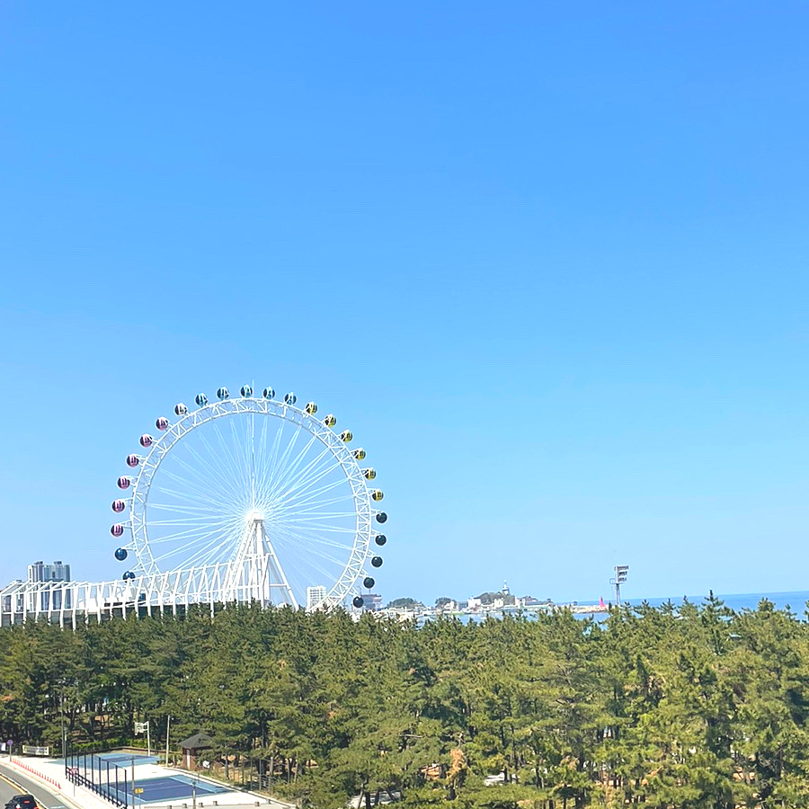  [속초] 대관람차 보이는 핫플 카페 <보사노바>