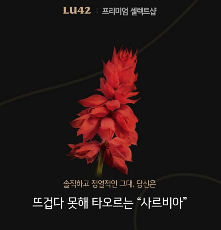  꽃 MBTI 테스트 유형들 (+ 프리지아 히비스커스 플록스 작약 도라지 에리카)