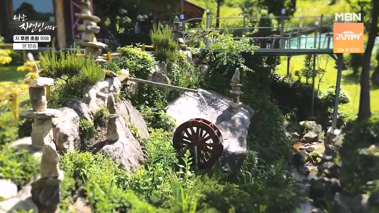 나는 자연인이다.E607.240530p-NEXT.mp4_20240530_200514.193.jpg