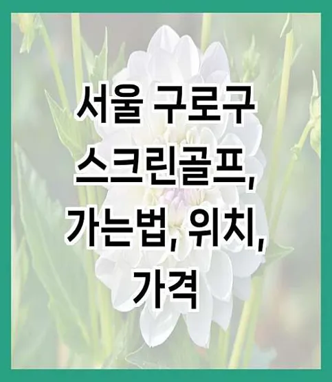 골프존파크 고척 제니스점