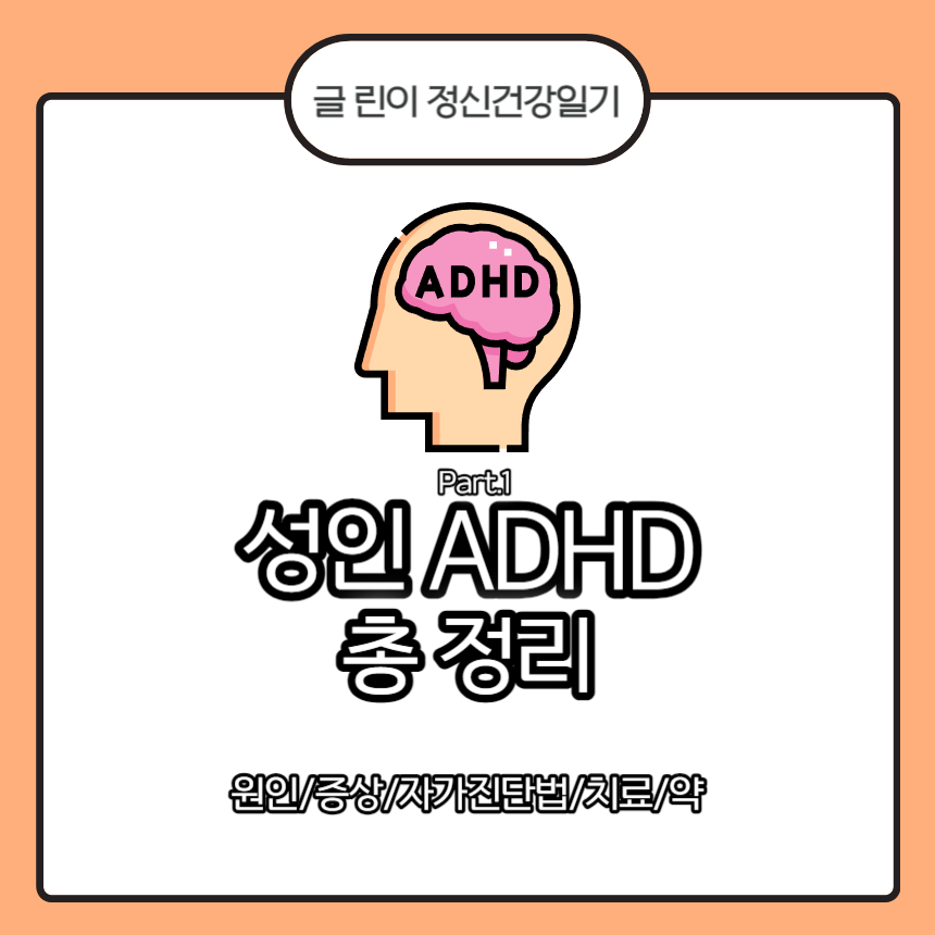 성인 ADHD 원인
성인 ADHD 증상
성인 ADHD 자가진단법
성인 ADHD 치료
성인 ADHD 약