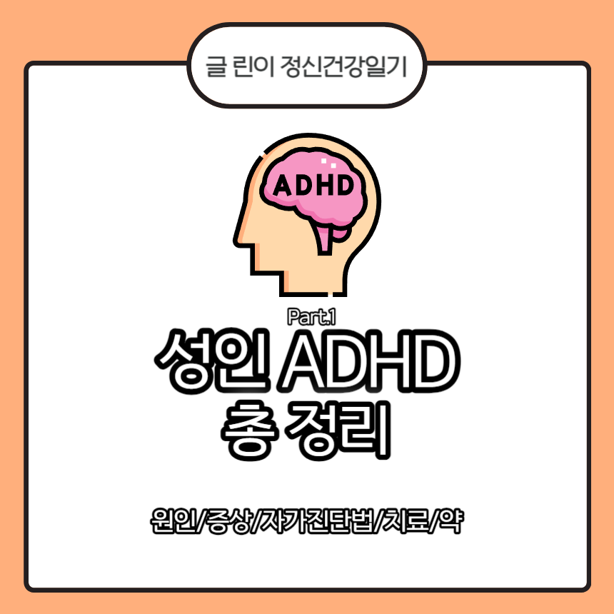  성인 ADHD 총 정리 Part.1 : 원인/증상/자가진단법/치료/약