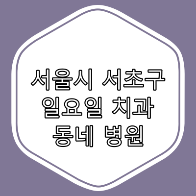 서울 서초구 일요일 치과 진료 병원과 진료시간