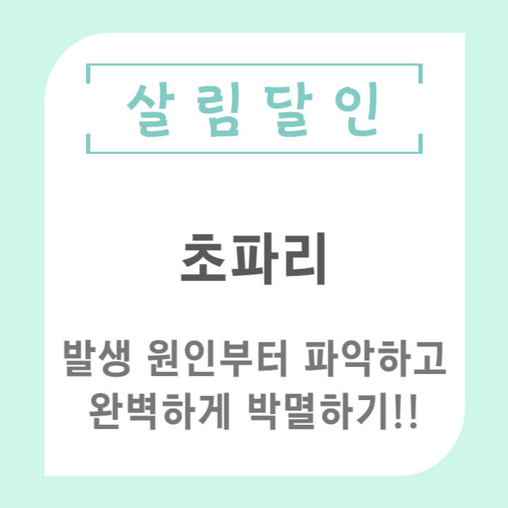 초파리_없애는방법_생기는이유_썸네일