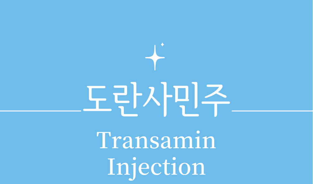 '도란사민주(Transamin Injection)'