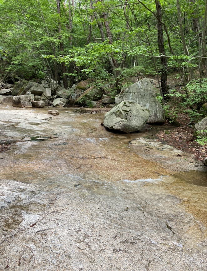 여름산으로 추천하는 괴산 칠보산(778m) 숲속을 거니는 듯 시원해 39