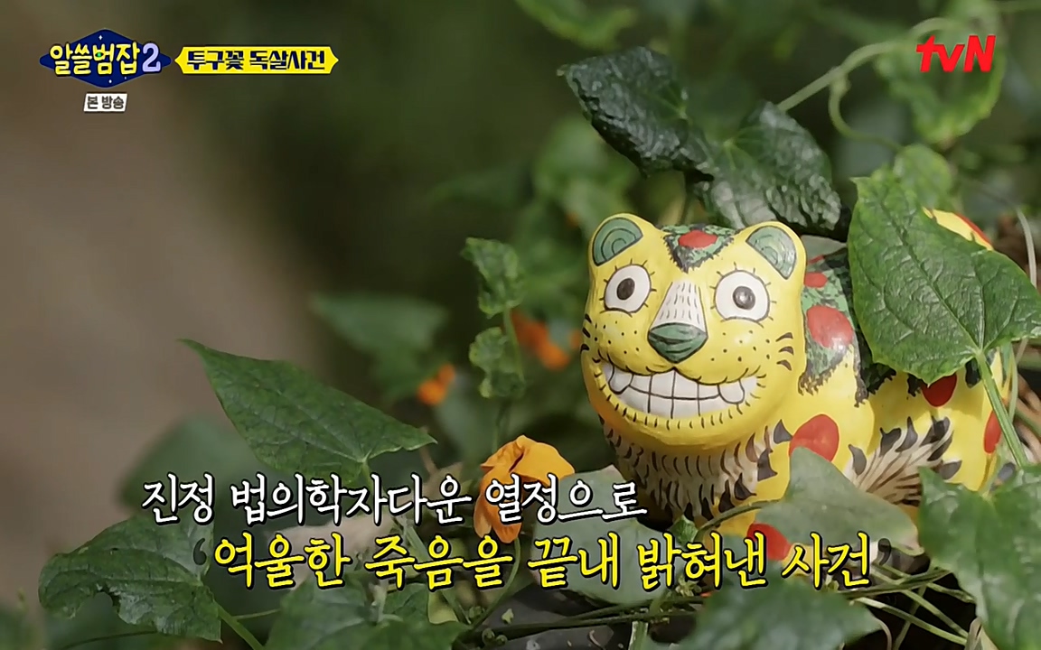 알쓸범잡 2.E15.220425p-NEXT.mp4_20220425_181021.985.jpg