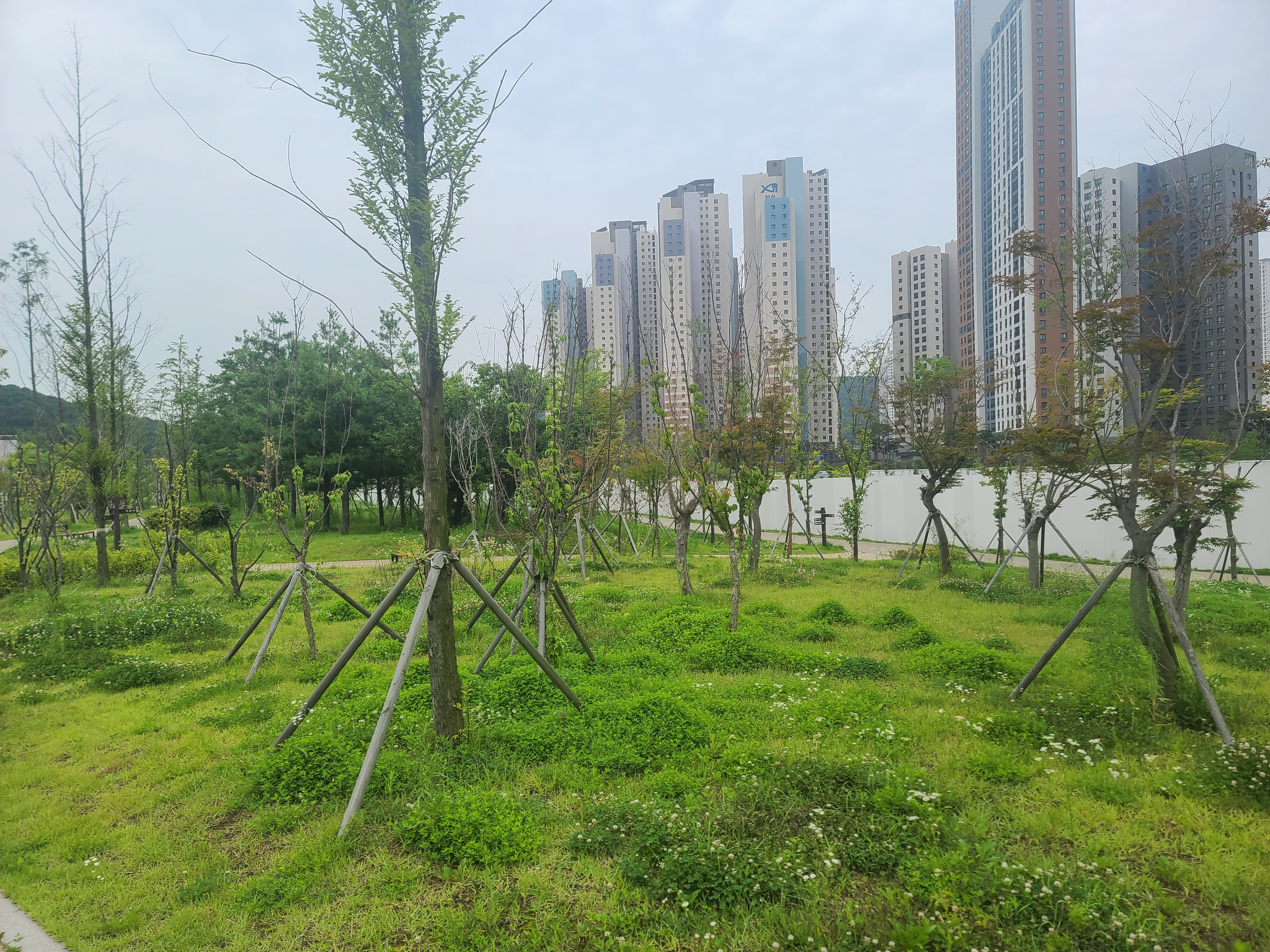  광명역 일직동 새빛공원 새물공원 산책하기