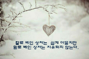 아량 이미지