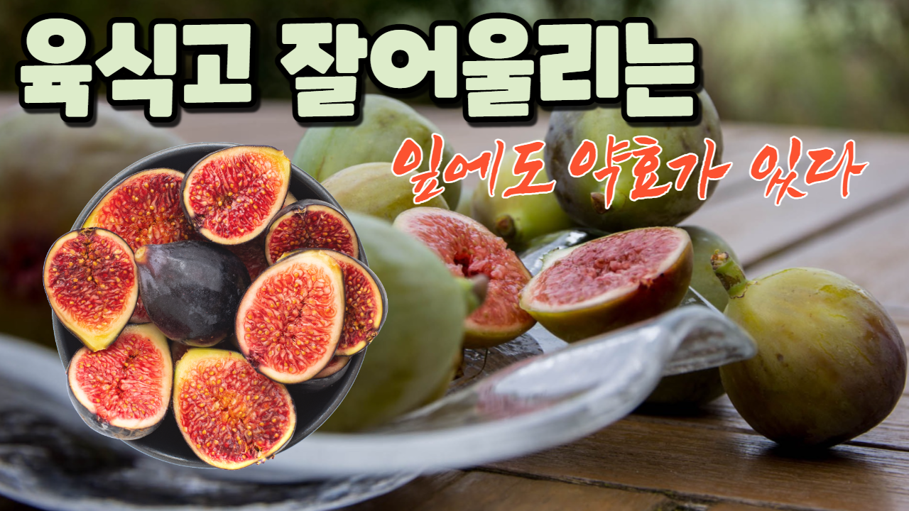  무화과의 효능