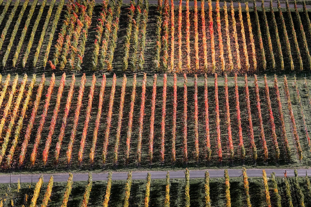 Smart Heating Mat