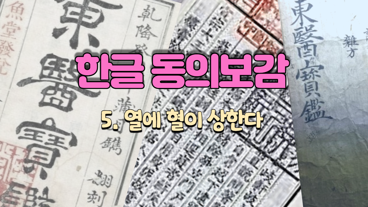  5. 열에 혈이 상한다 ( 내경편 혈 )