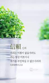 미쁨 이미지