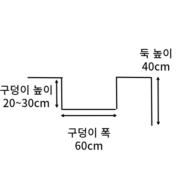 블루베리 심는 방법