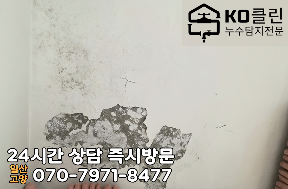 벽제동 아파트2