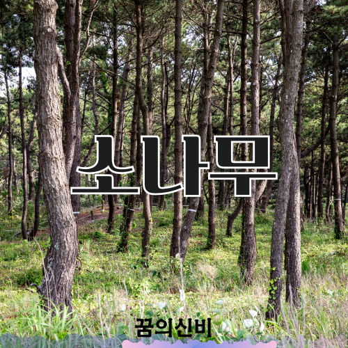 썸네일 사진