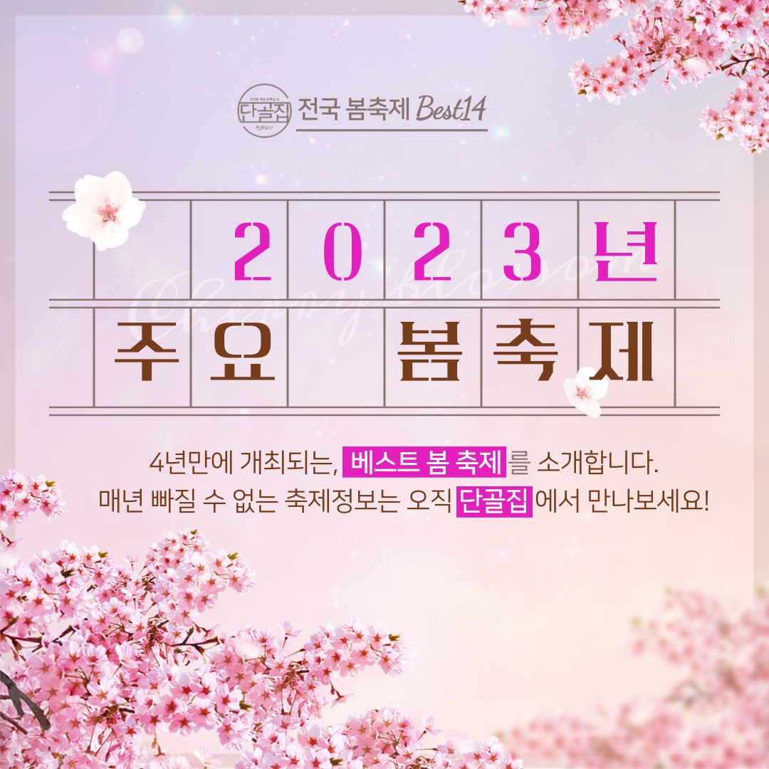 23년 전국 봄 축제 2