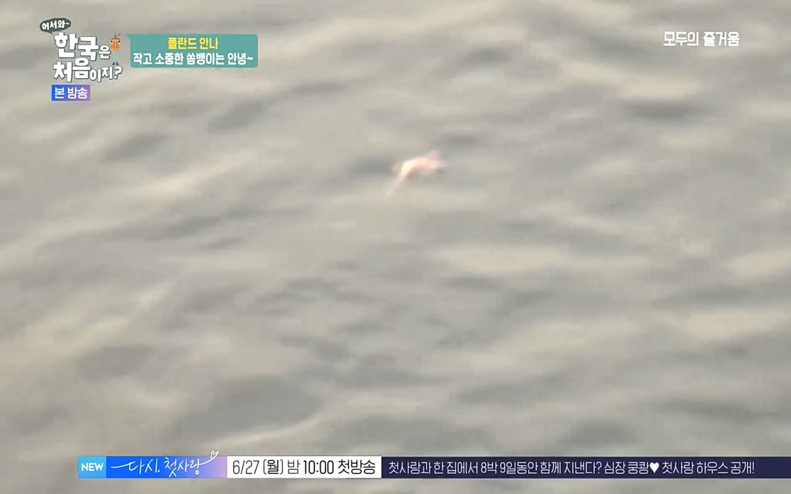 어서와 한국은 처음이지 시즌2.E216.220624p-NEXT.mp4_20220624_203649.461.jpg