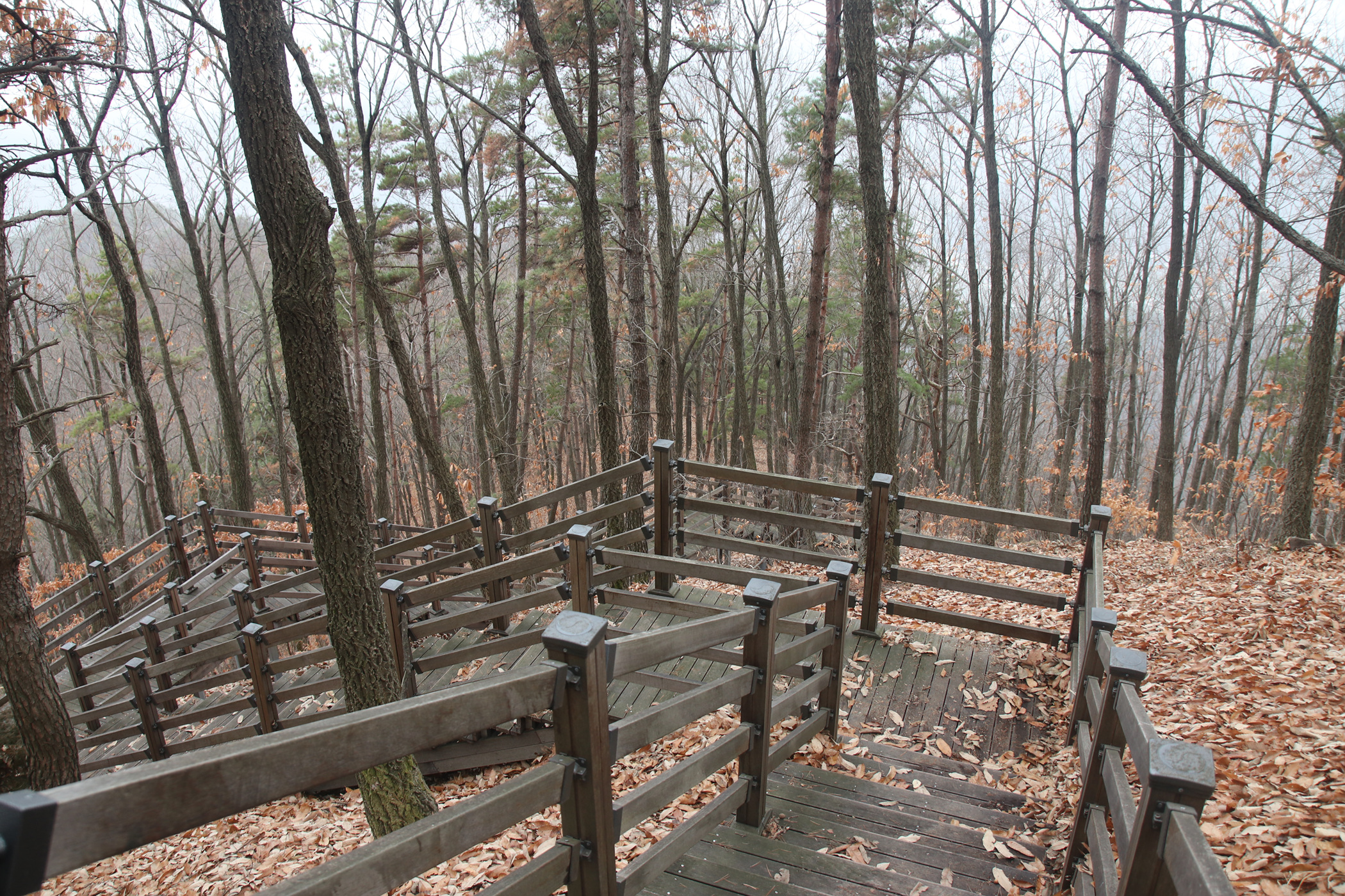 경남 의령군 국사봉 05 33