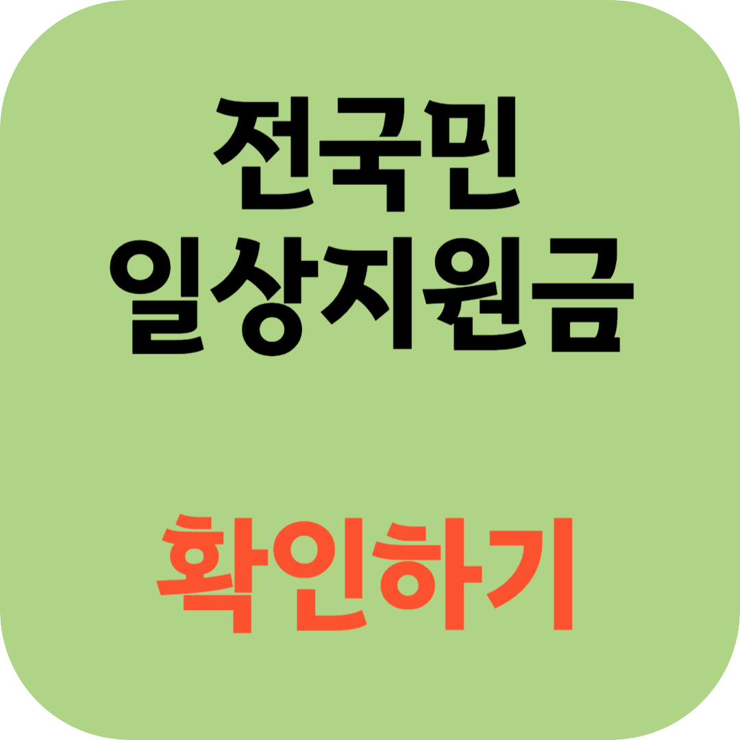  전국민 일상지원금 자격 확인하기
