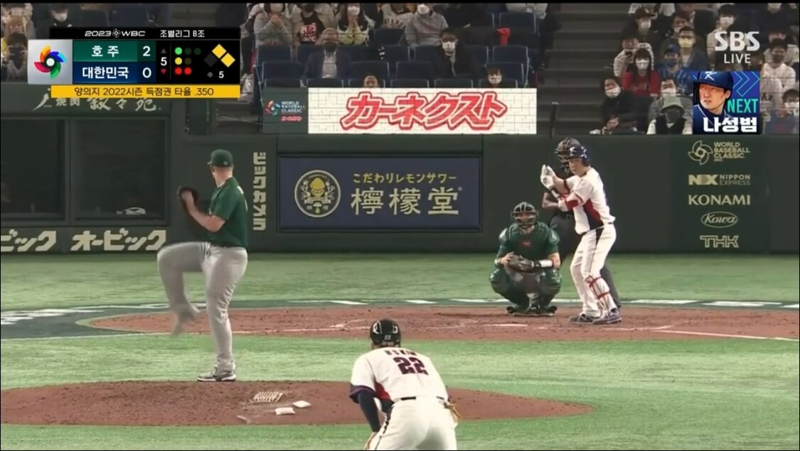 WBC 사례 수