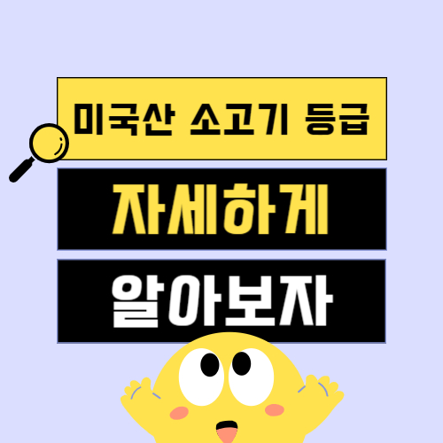 미국산 소고기 등급