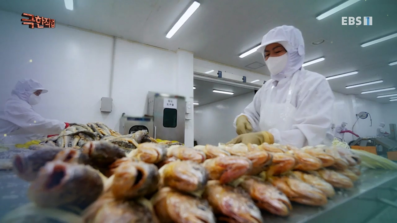 TV - 교육의 중심 EBS가을 바다 황금 조기잡이와 굴비 가공.mp4_20221122_195427.741.jpg