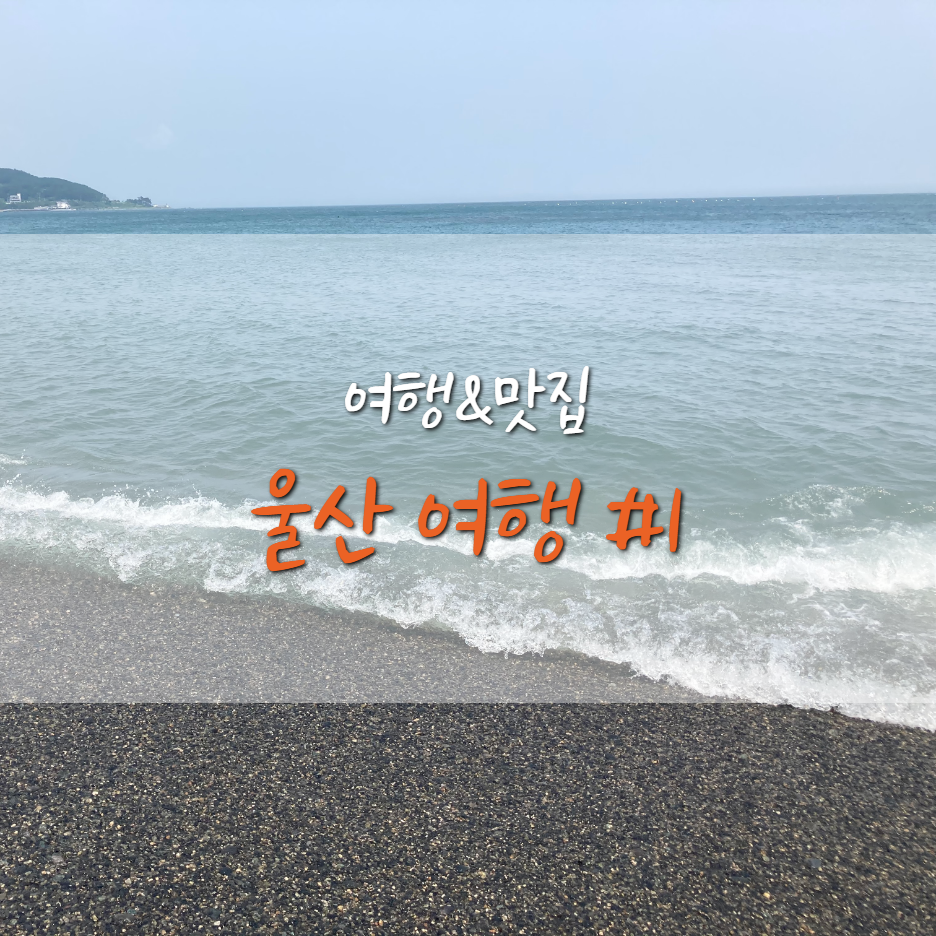  울산 여행] 주전 몽돌해수욕장 / 주전동 맛집 육일횟집