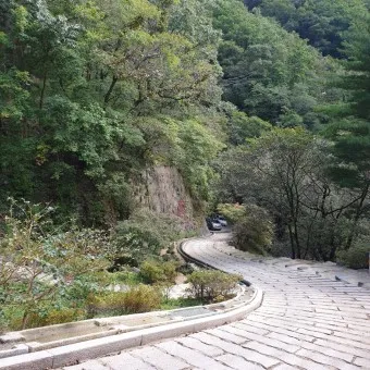 봉화 가볼만한곳 베스트10 현지인 추천 필수코스_23