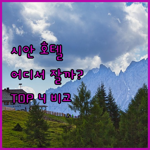 시안 여행, 어디서 묵을까? 인기 호