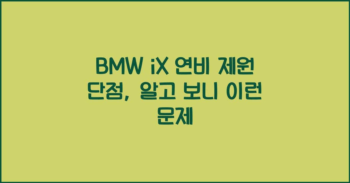 BMW iX 연비 제원 단점