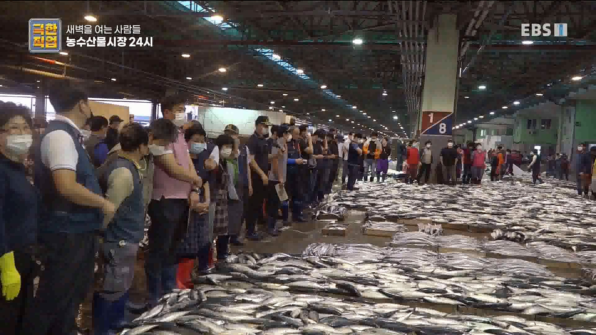 농수산물 시장 24시.mp4_20221020_161650.069.jpg