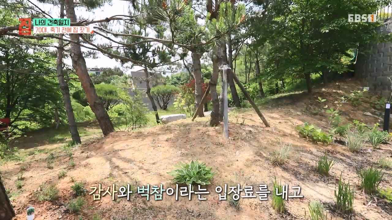 TV - 전 국민의 평생학교 EBS나의 건축일지.mp4_20230820_113012.533.jpg