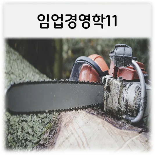임업경영학11-전기톱나무