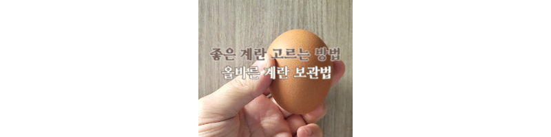 좋은 계란 고르는 방법-올바른 계란 보관법