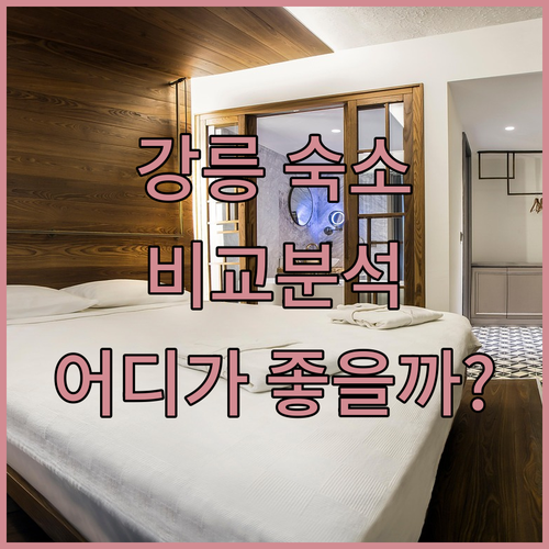강릉 럭셔리 호텔부터 가성비 숙소까지
