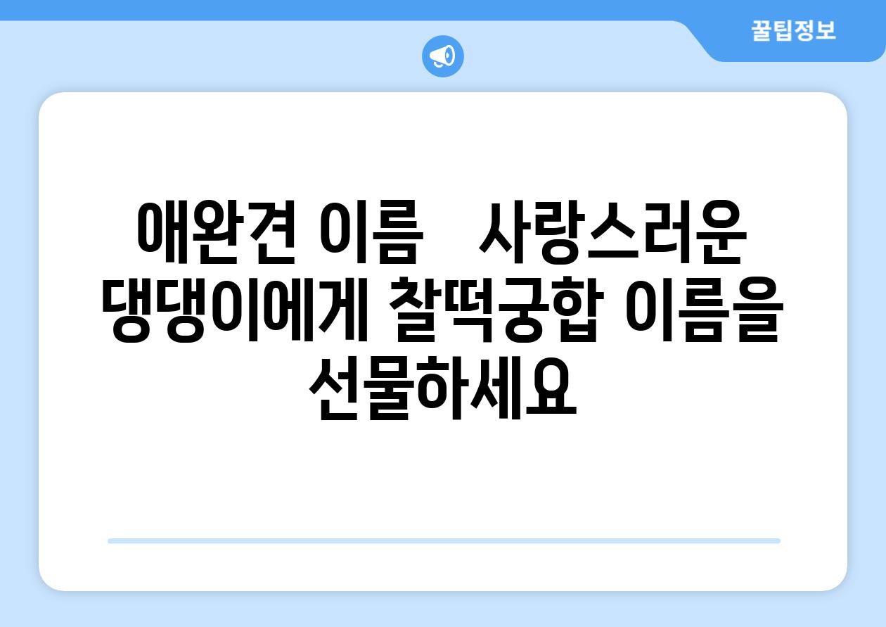 애완견 이름   사랑스러운 댕댕이에게 찰떡궁합 이름을 선물하세요