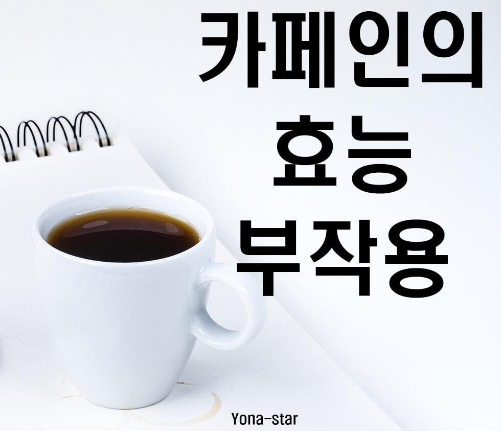  카페인의 효능과 부작용