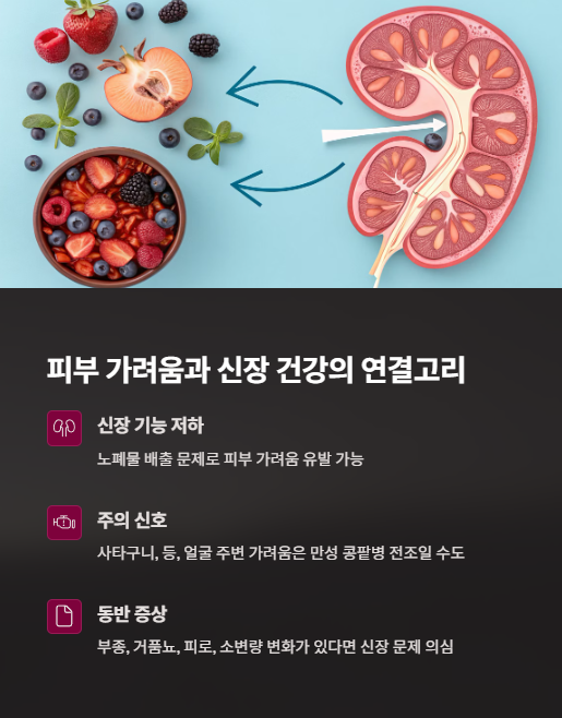피부 가려움과 신장 건강의 연결고리