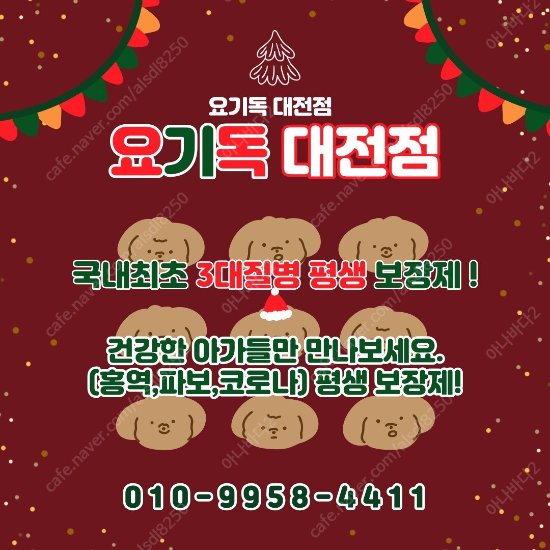 세종강아지입양 3대질병 보장으로 건강한 곳에서