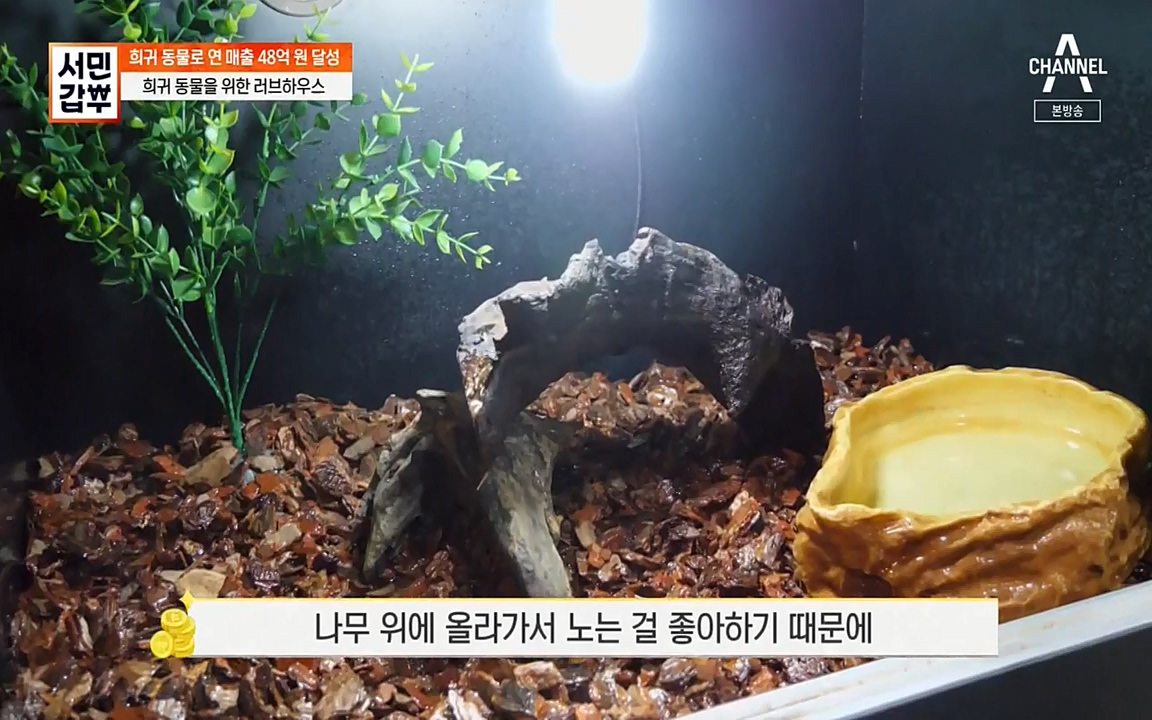 서민 갑부.E381.220431p-NEXT.mp4_20220501_180713.807.jpg