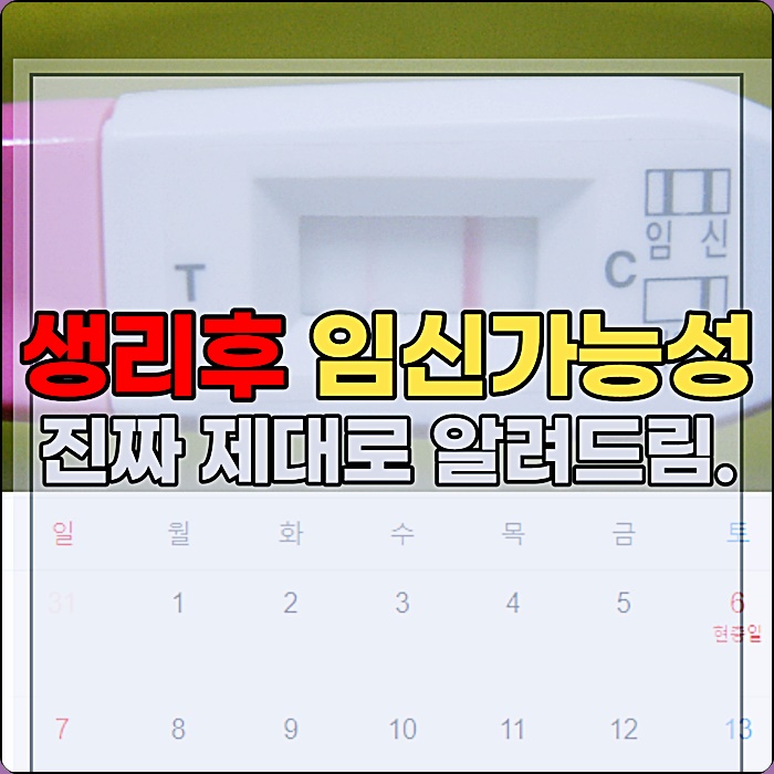생리중 임신가능성 전 후 끝나고 배란일 임신 확률 증상 보세요!