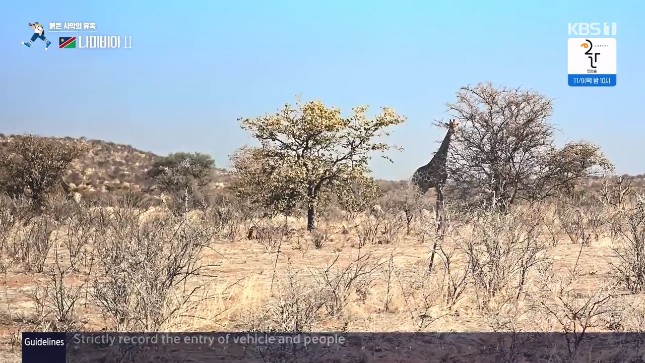 걸어서 세계속으로.E816.231105p-NEXT.mp4_20231104_175430.035.jpg